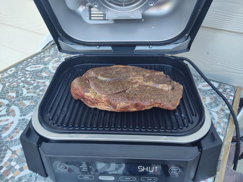 Ninja Woodfire Grill 5